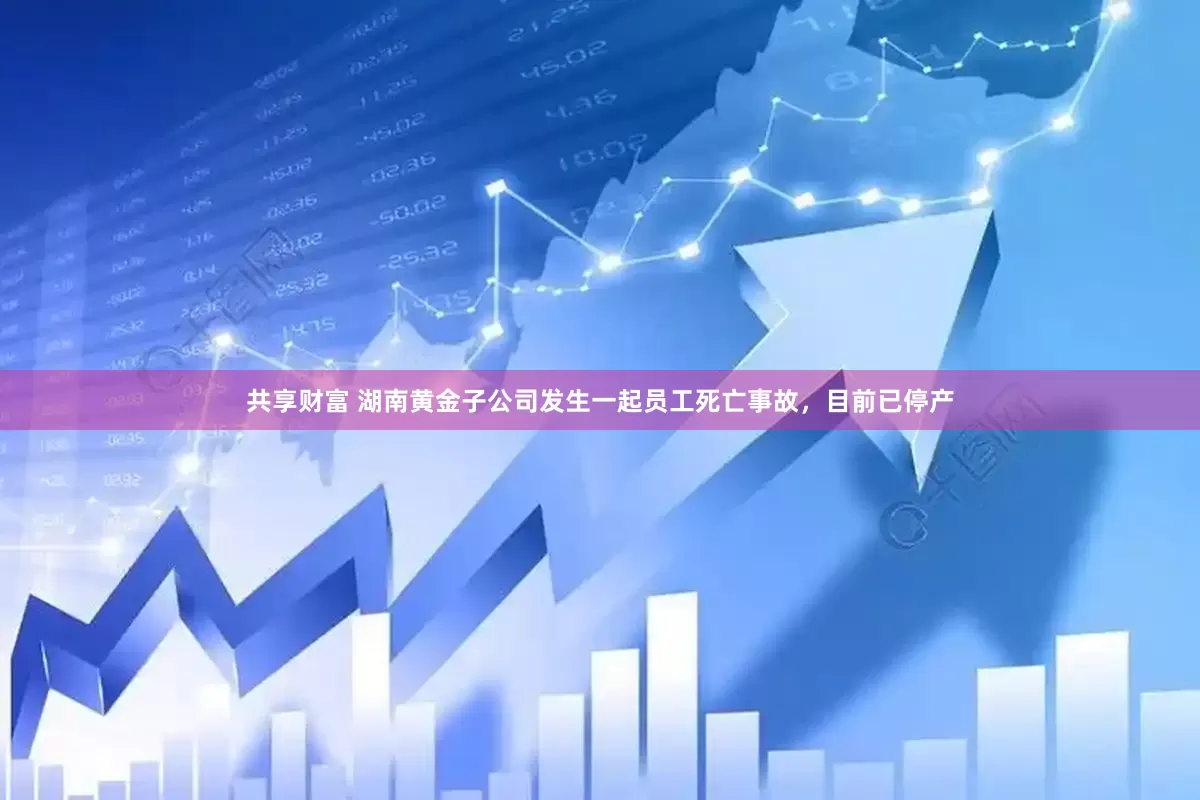 共享财富 湖南黄金子公司发生一起员工死亡事故，目前已停产