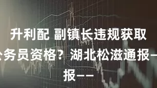 升利配 副镇长违规获取公务员资格？湖北松滋通报——