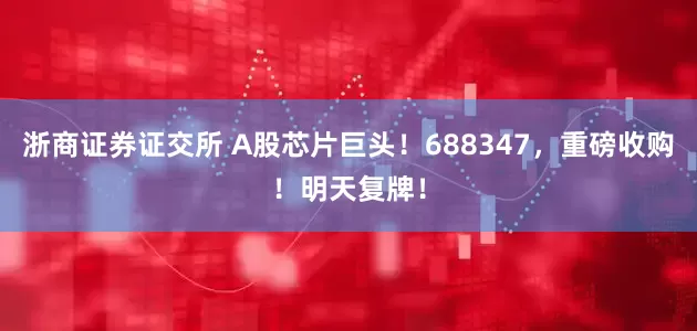 浙商证券证交所 A股芯片巨头！688347，重磅收购！明天复牌！