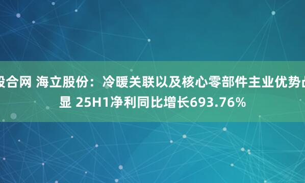 股合网 海立股份：冷暖关联以及核心零部件主业优势凸显 25H1净利同比增长693.76%
