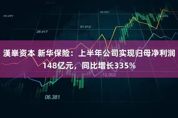 漢崋资本 新华保险：上半年公司实现归母净利润148亿元，同比增长335%